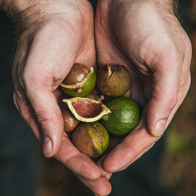 Nougatine-Paris-macadamia