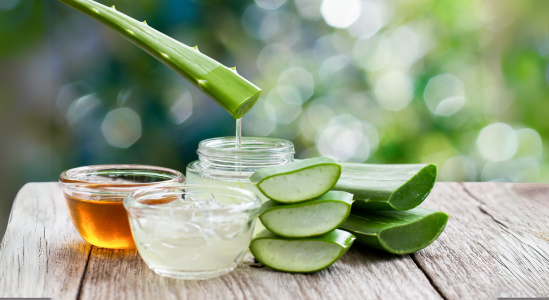 ALOE VERRA SUR UNE TABLE